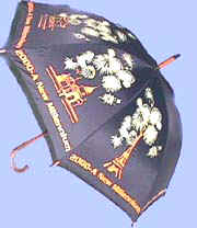 Year 2000 STICK umbrella